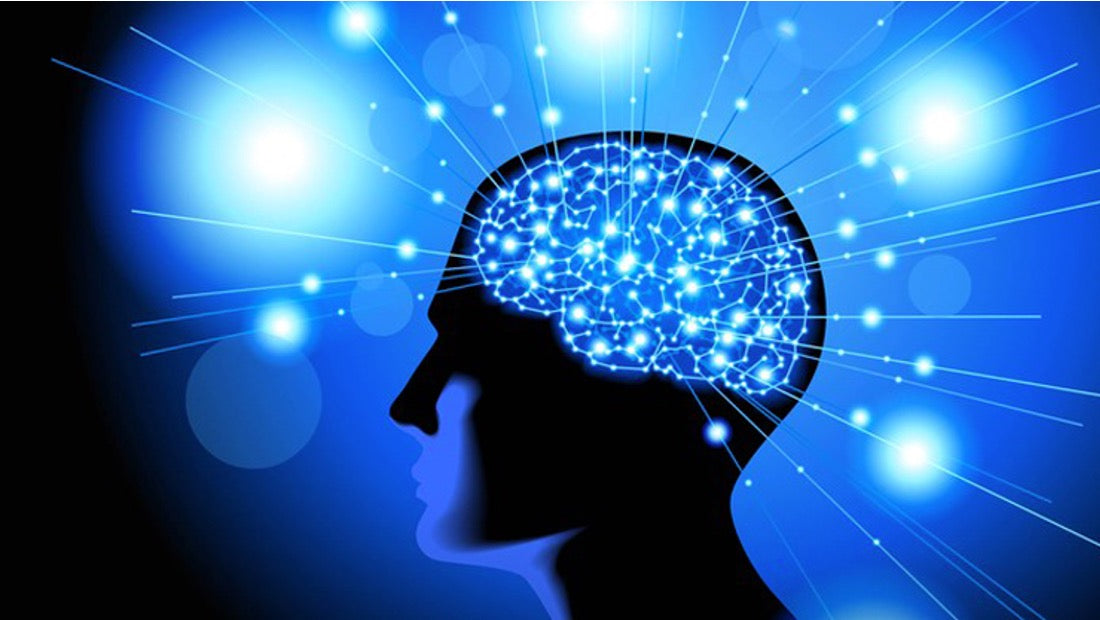 pickleball insights - tuesday tip for mental focus on the pickleball court