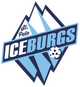 St. Pete IceBurgs